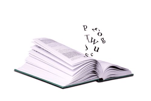 Przerzutnia
